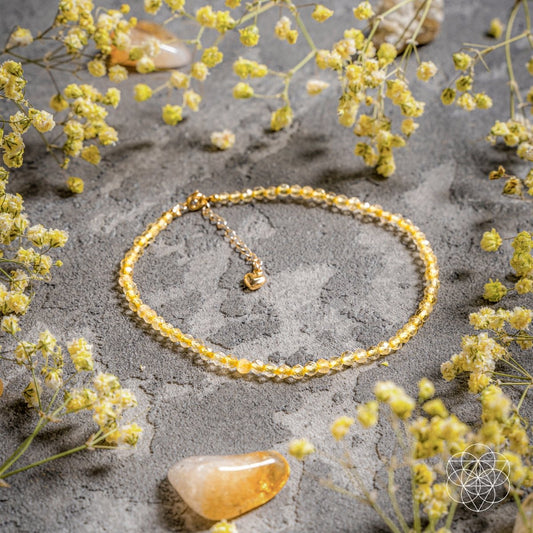The Abundance Anklet Conscious Items