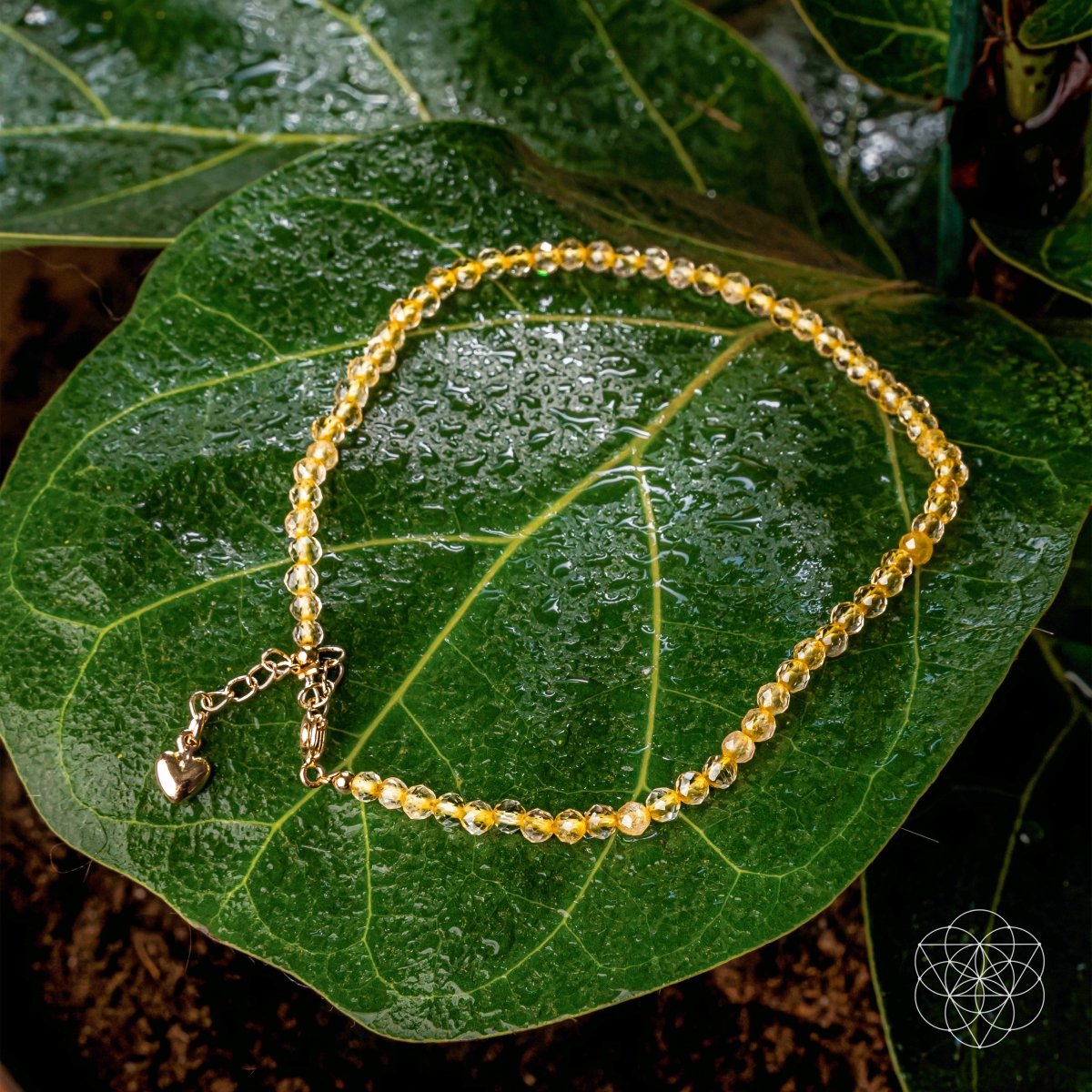 The Abundance Anklet Conscious Items