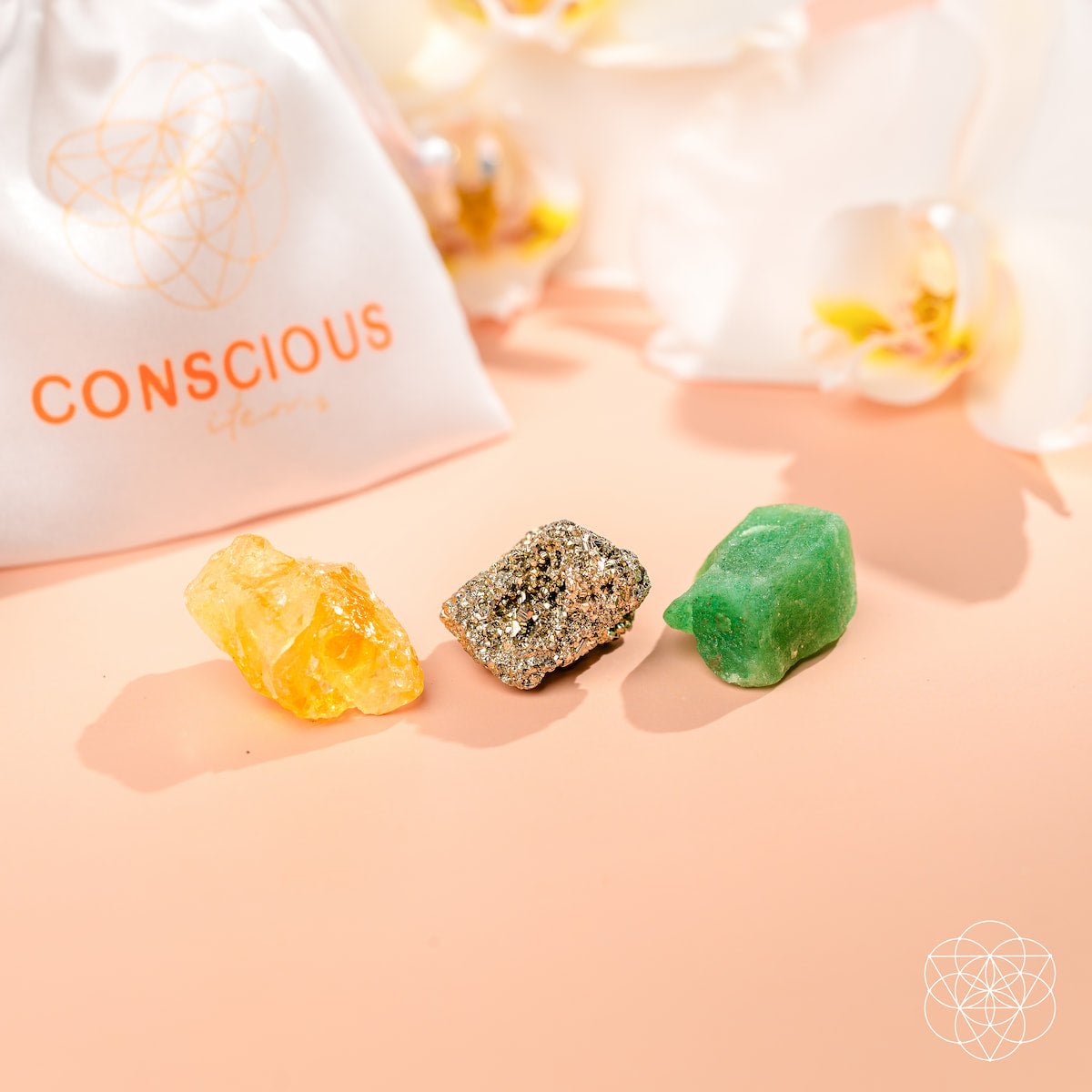 The Abundance Trio Conscious Items