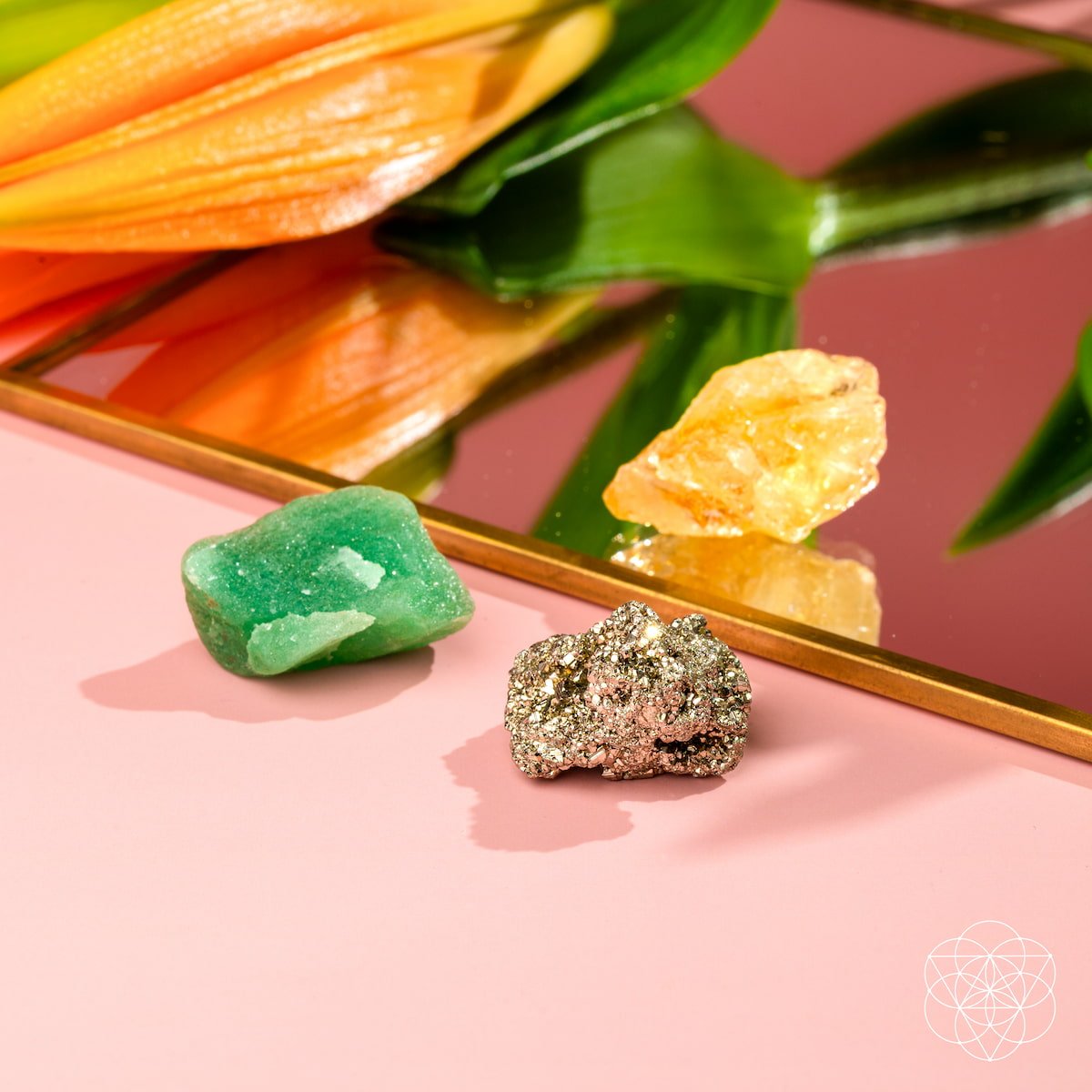 The Abundance Trio Conscious Items