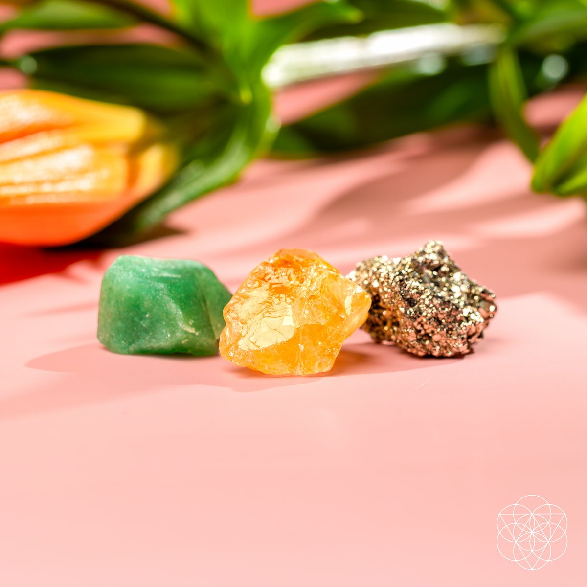 The Abundance Trio Conscious Items
