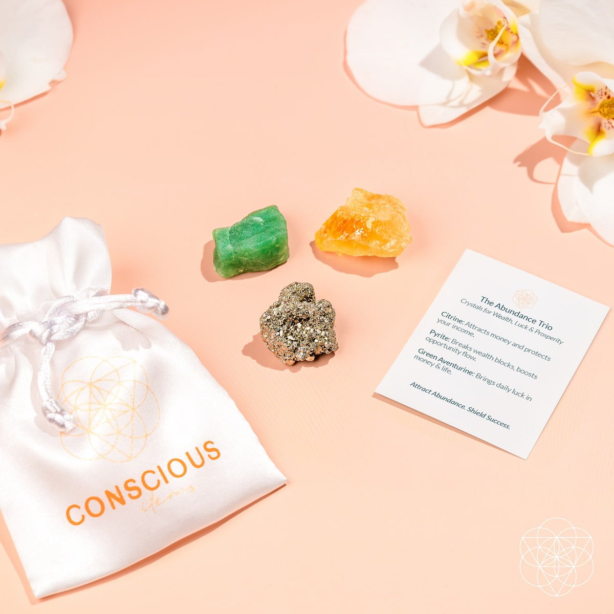 The Abundance Trio Conscious Items