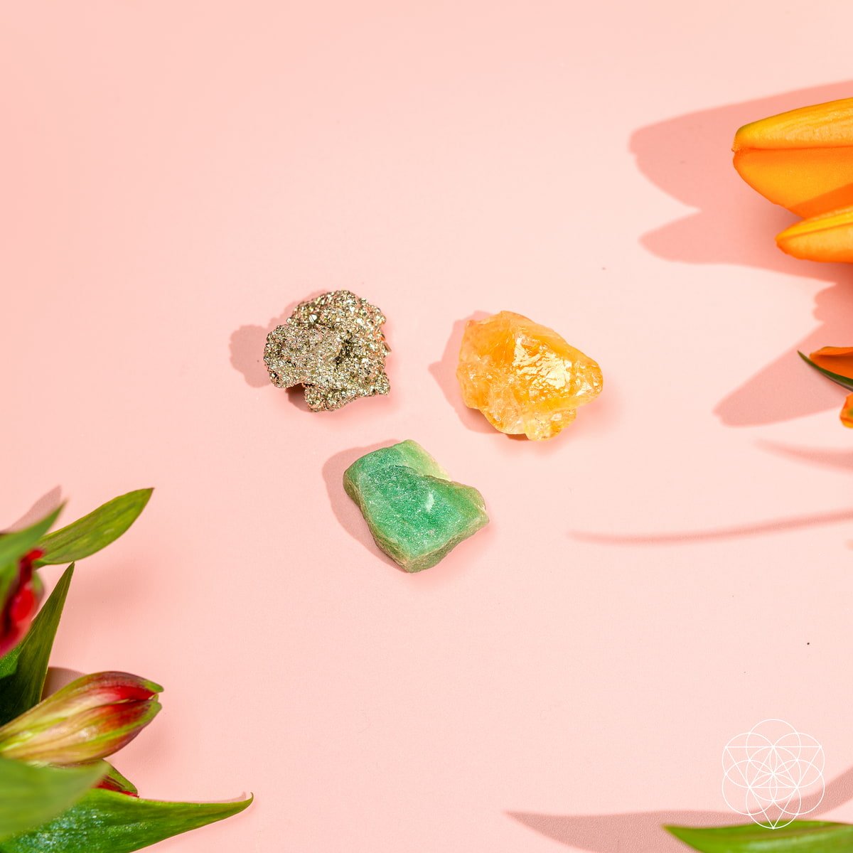 The Abundance Trio Conscious Items