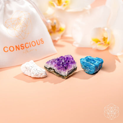 The Anti-Anxiety Trio Conscious Items