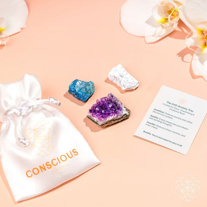 The Anti-Anxiety Trio Conscious Items