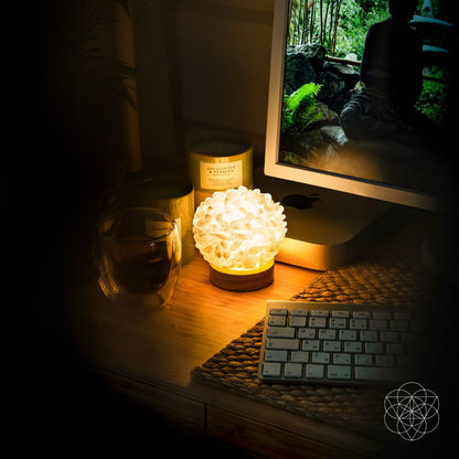 The Curative Lamp Conscious Items