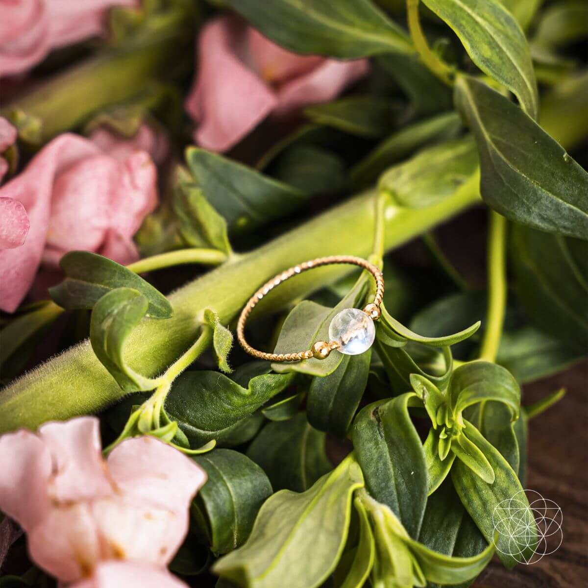 The Lunar Ring of Power Conscious Items