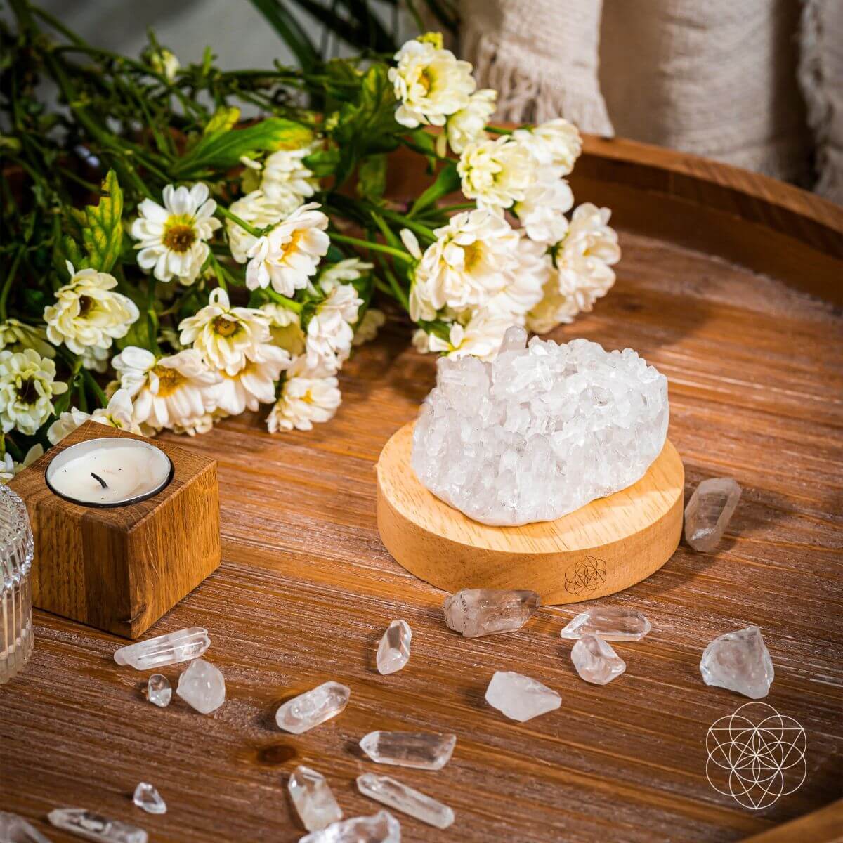 The Purification Lamp Conscious Items