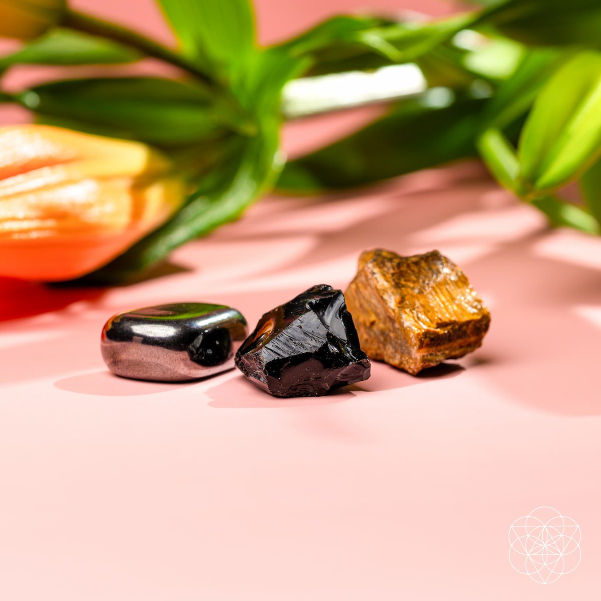 The Triple Protection Trio Conscious Items