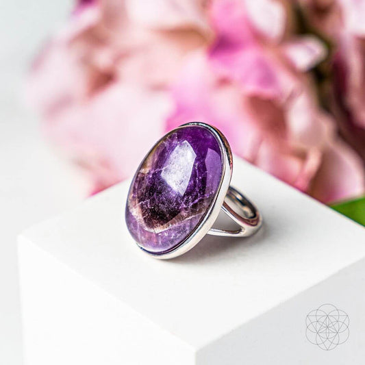 The Visualization Ring Conscious Items