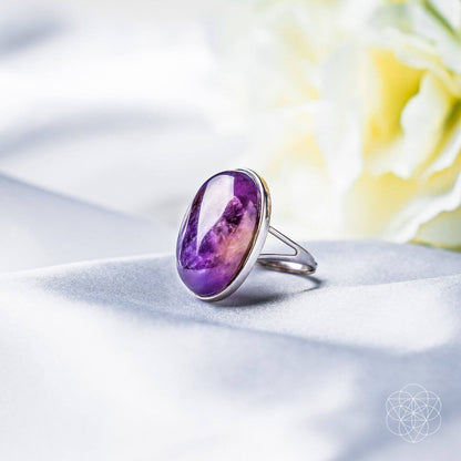 The Visualization Ring Conscious Items