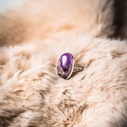 The Visualization Ring Conscious Items