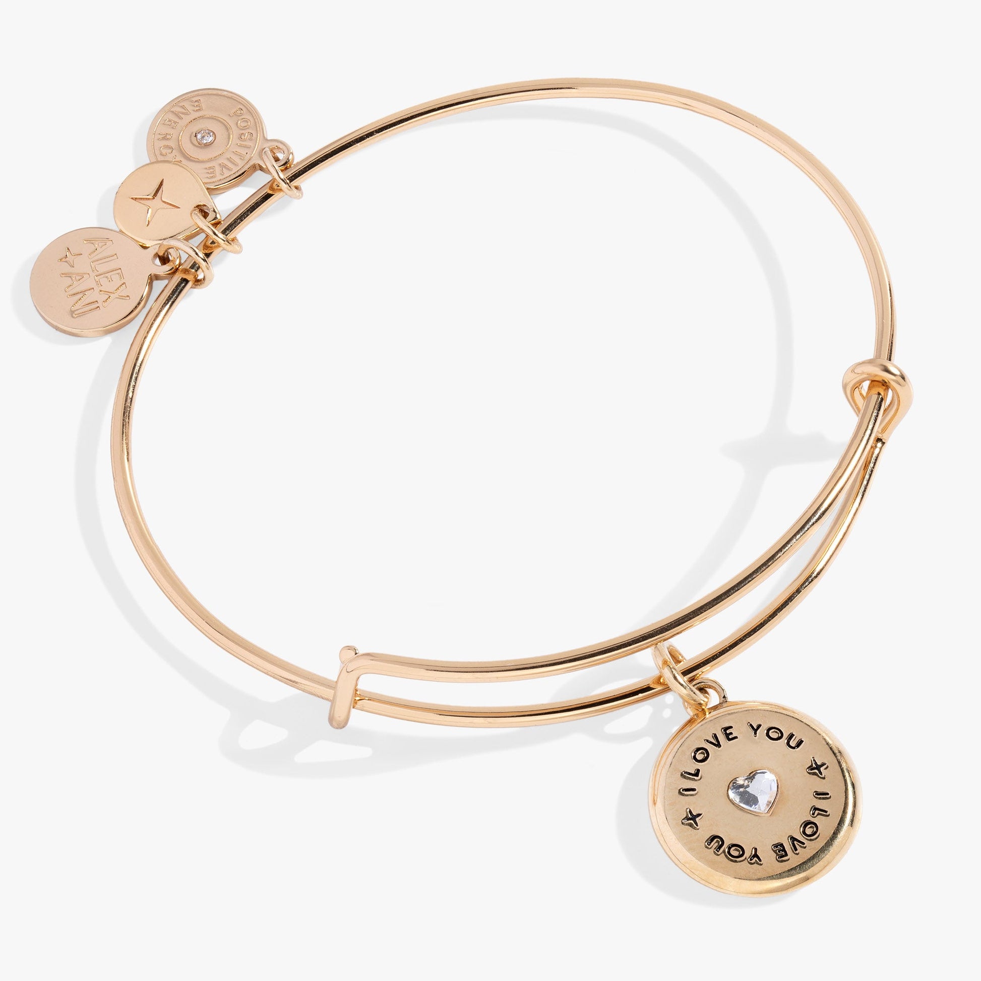 Token of Love Charm Bangle ALEX AND ANI