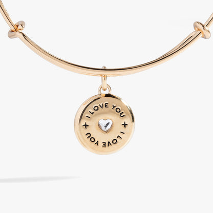 Token of Love Charm Bangle ALEX AND ANI