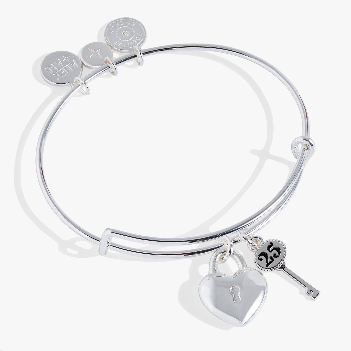 25th Anniversary Bangle ALEX AND ANI