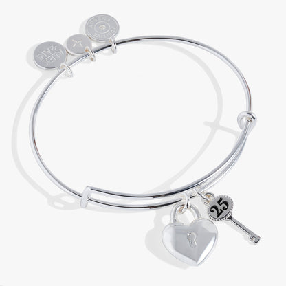 25th Anniversary Bangle ALEX AND ANI