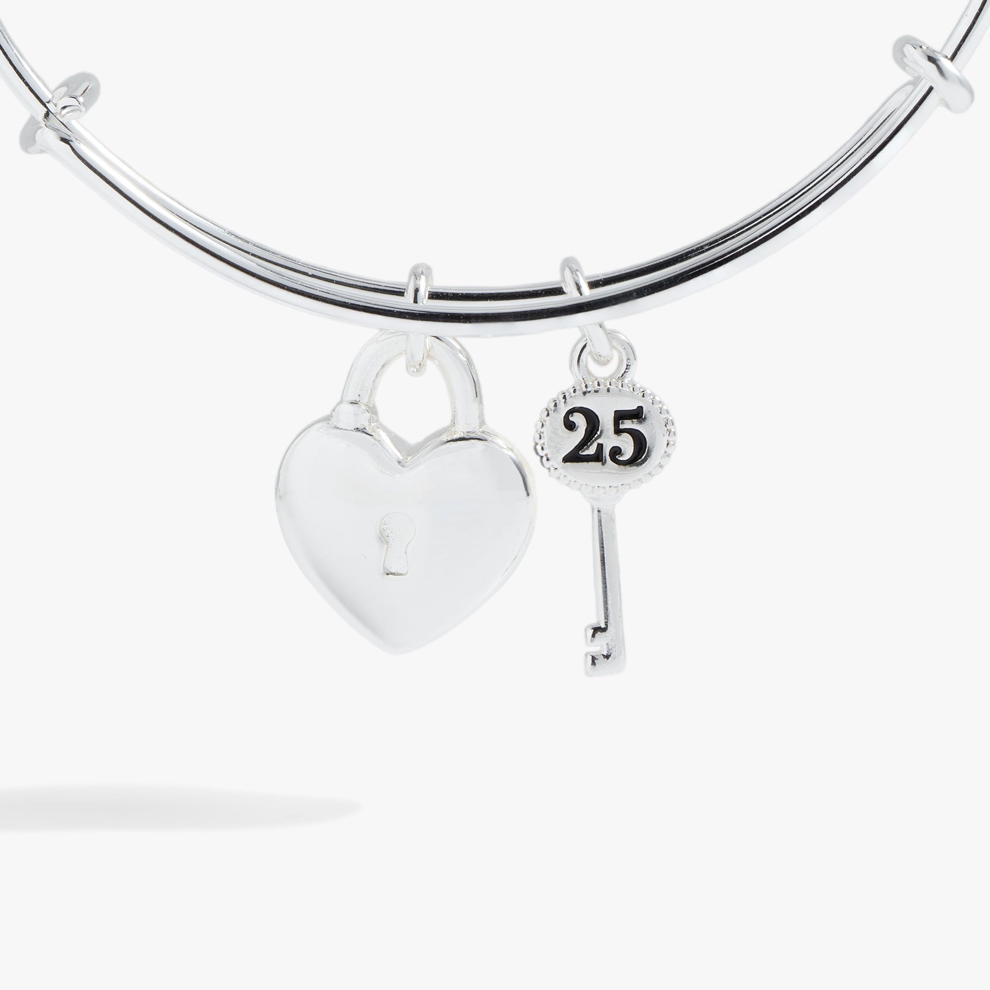 25th Anniversary Bangle ALEX AND ANI