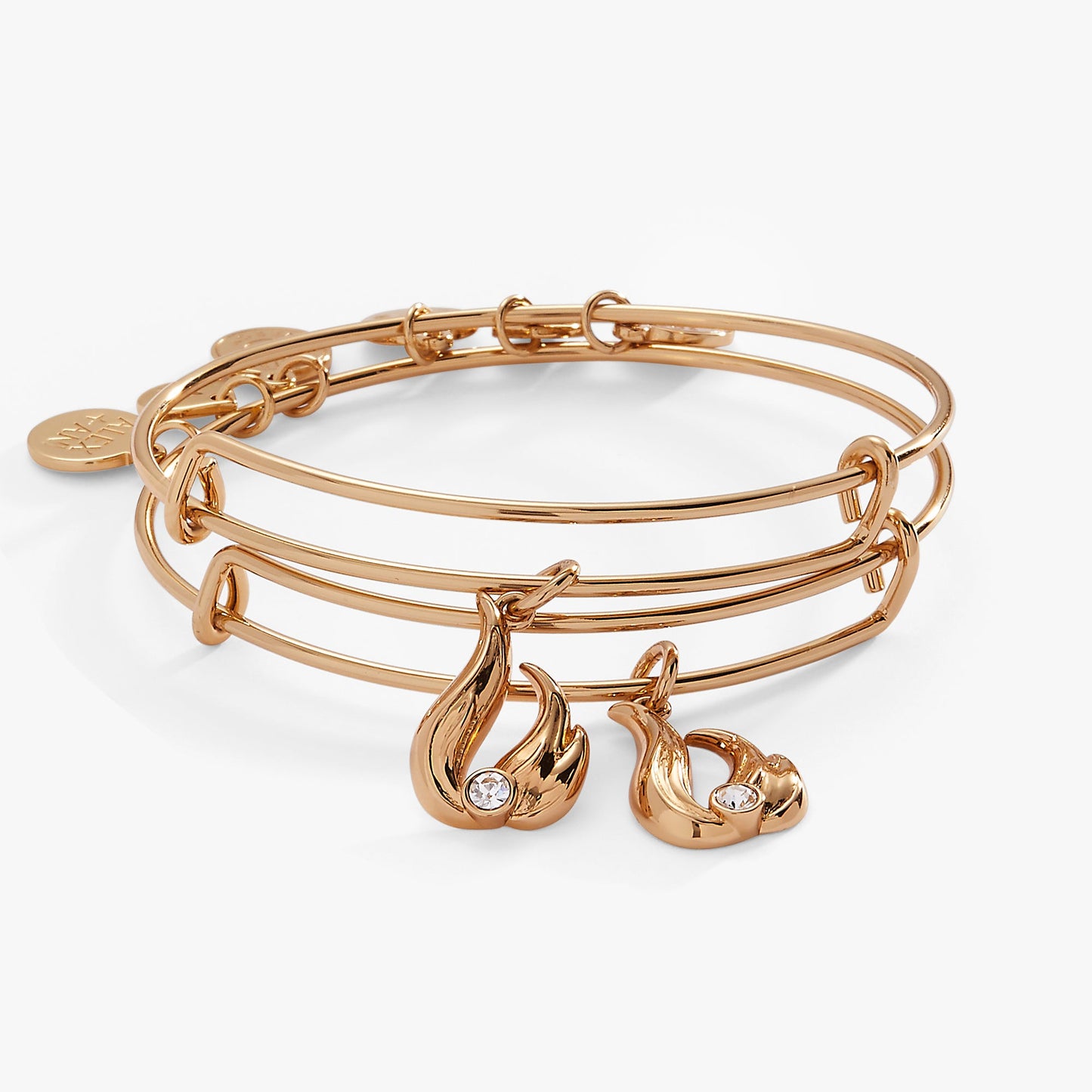 Twin Flame BFF Bangle Set of 2 ALEX AND ANI