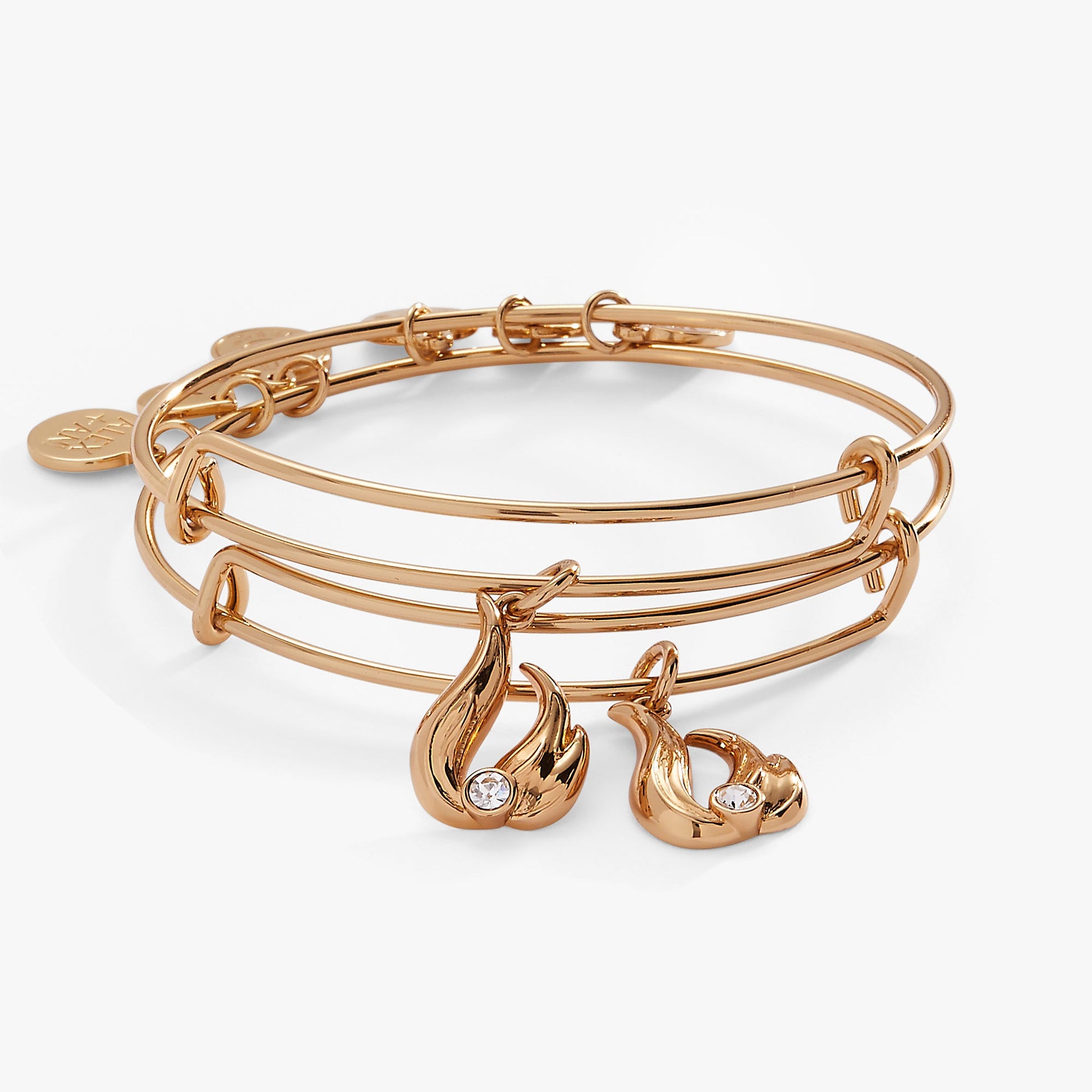 Twin Flame BFF Bangle Set of 2 ALEX AND ANI