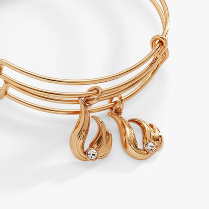 Twin Flame BFF Bangle Set of 2 ALEX AND ANI