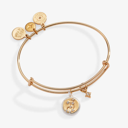 Virgo Zodiac Charm Bangle ALEX AND ANI