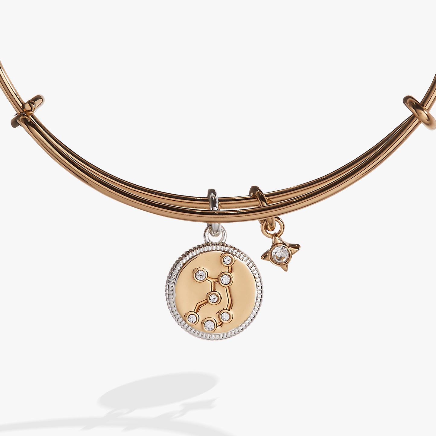 Virgo Zodiac Charm Bangle ALEX AND ANI