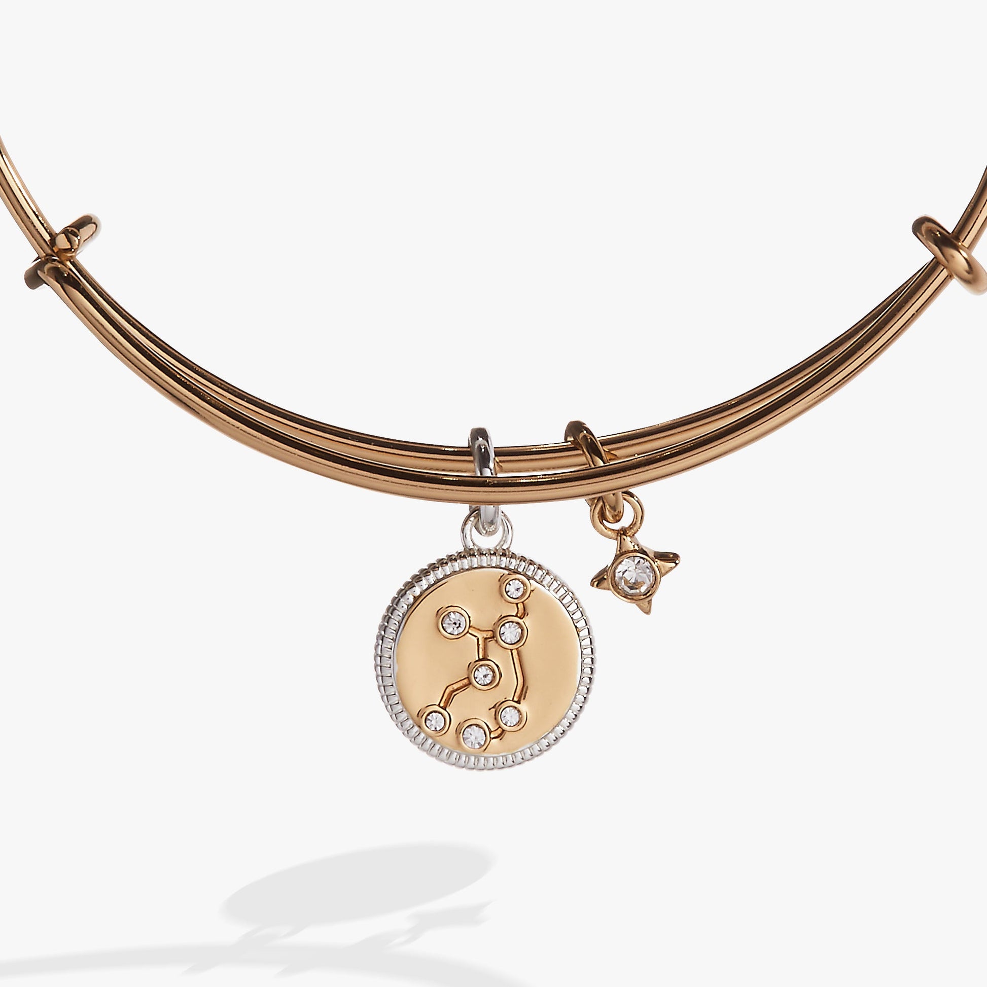 Virgo Zodiac Charm Bangle ALEX AND ANI