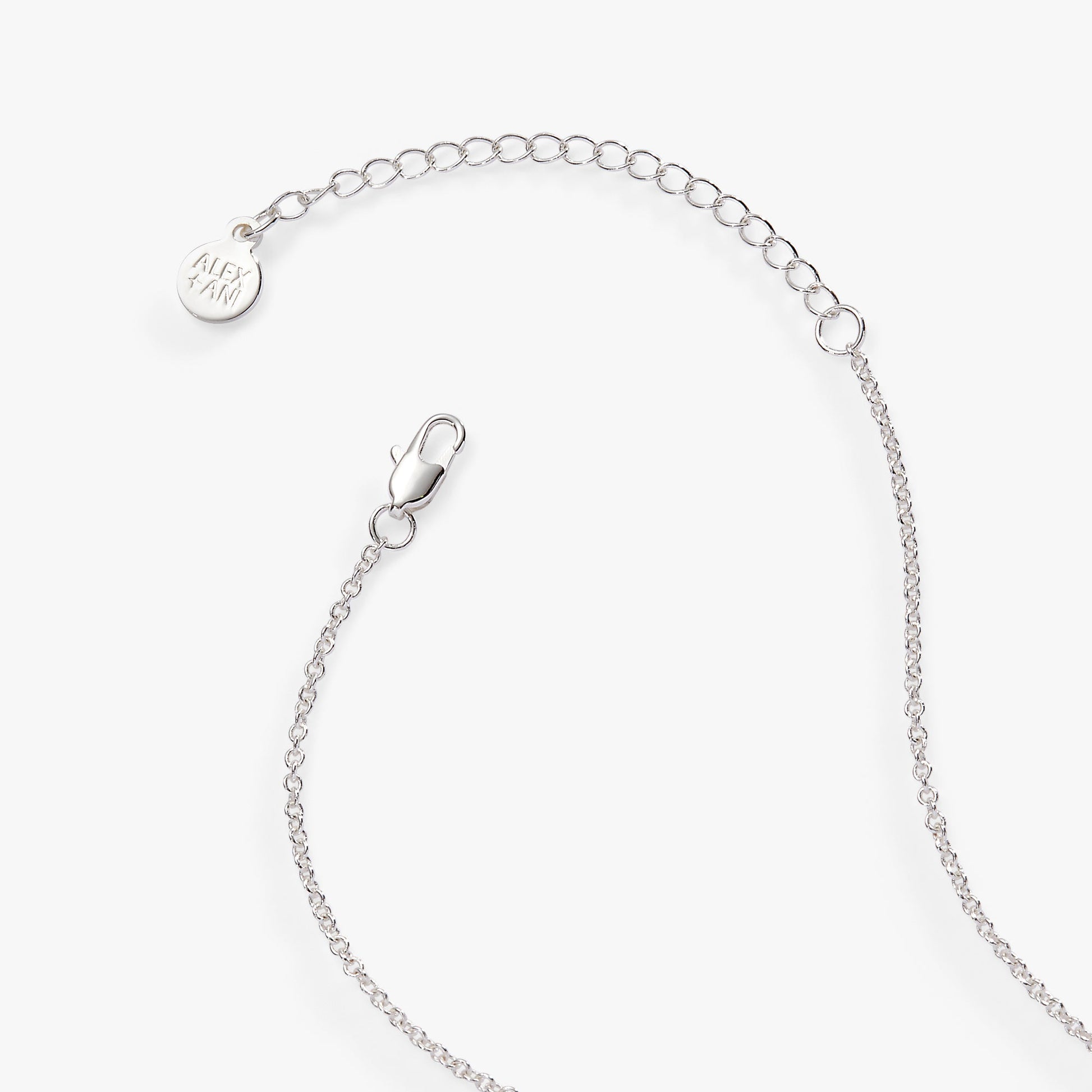 “Wild at Heart” Duo Charm Pendant Necklace ALEX AND ANI