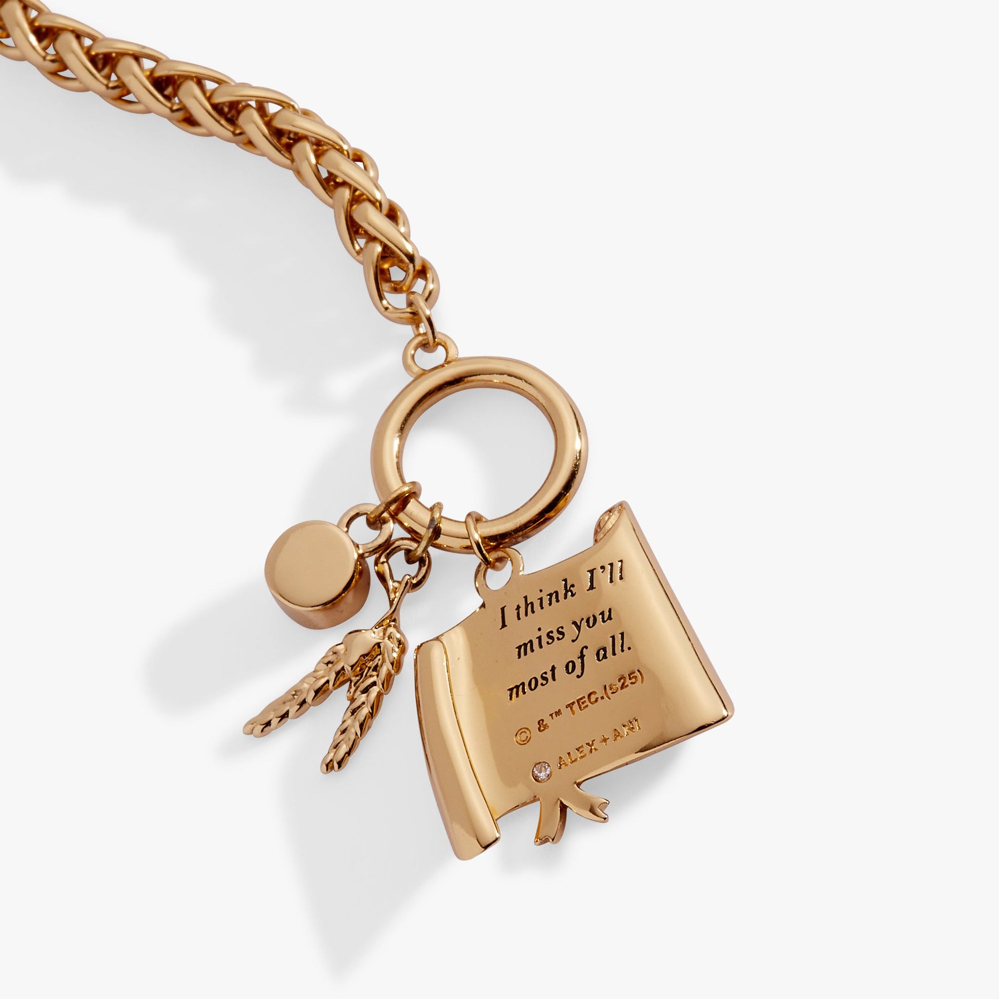 The Wizard of Oz™ Scarecrow Toggle Bracelet ALEX AND ANI