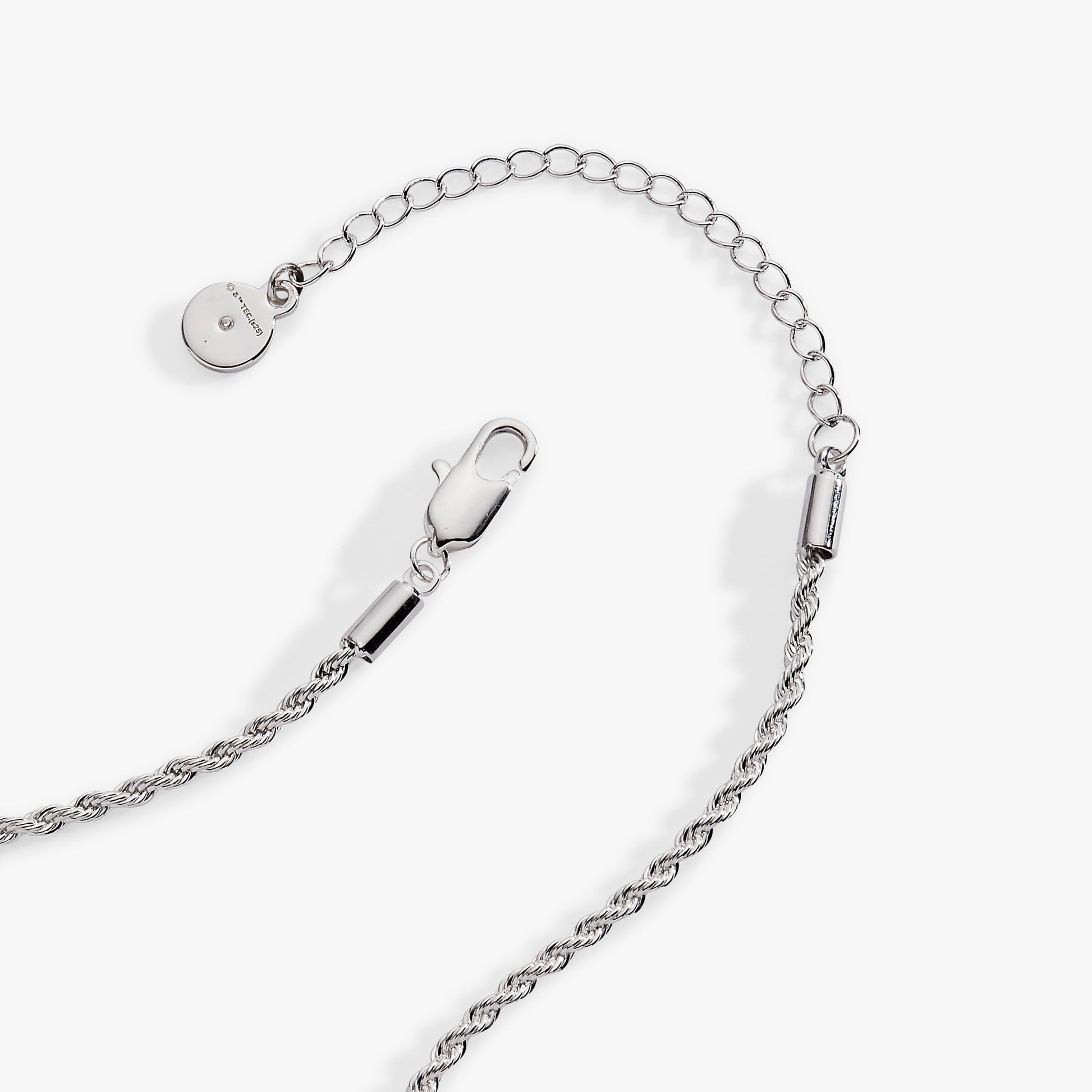 The Wizard of Oz™ Wicked Witch Charm Pendant ALEX AND ANI