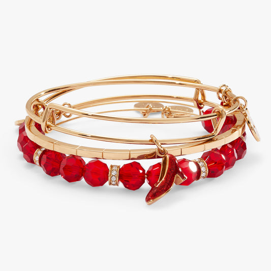 The Wizard of Oz™ Dorothy Bangles Set of 3 ALEX AND ANI