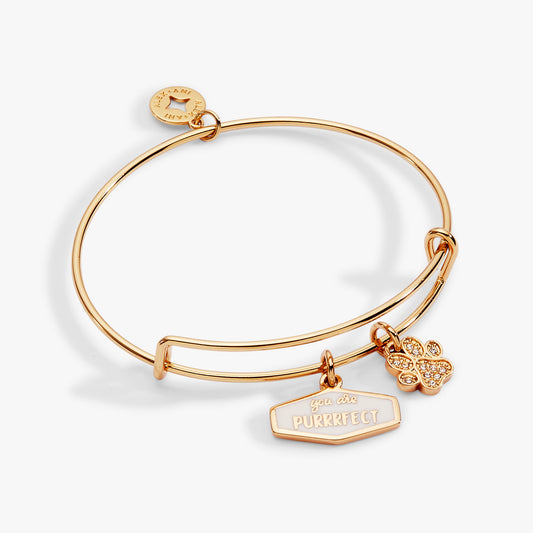 You Are Purrrfect Charm Bangle ALEX AND ANI