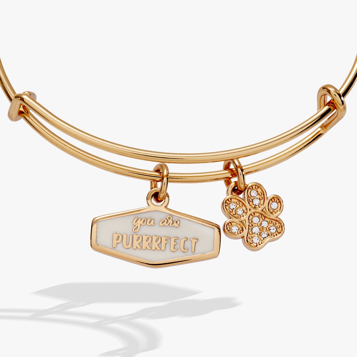 You Are Purrrfect Charm Bangle ALEX AND ANI
