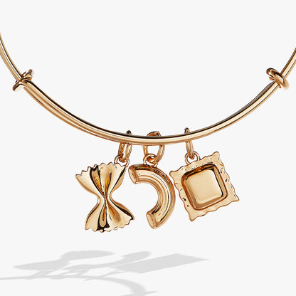Pasta Multi Charm Bangle ALEX AND ANI