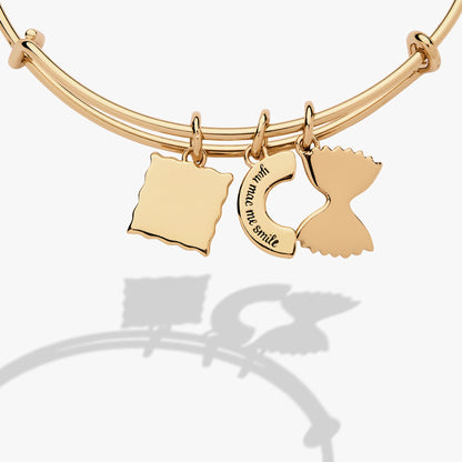 Pasta Multi Charm Bangle ALEX AND ANI
